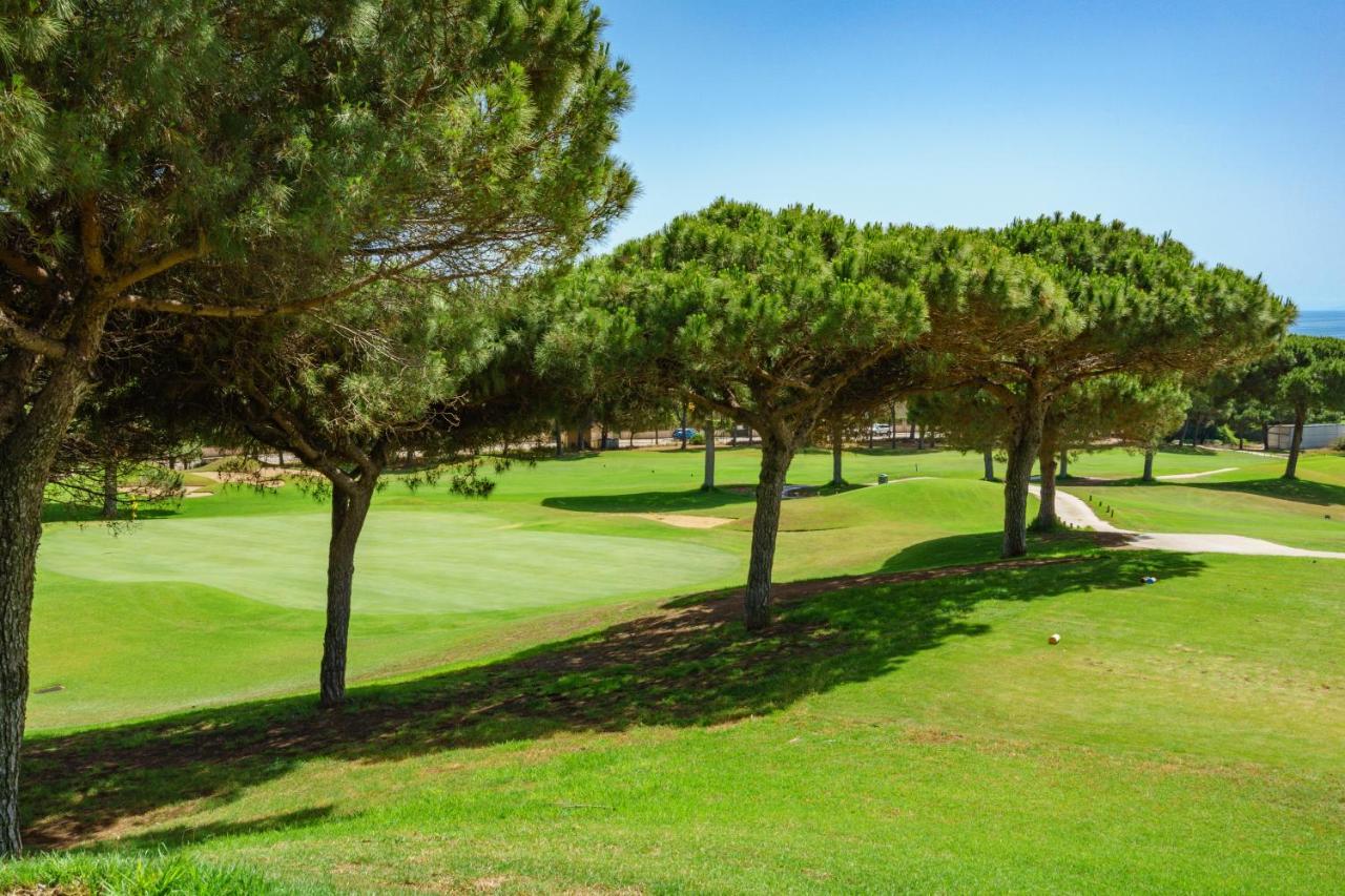 Magnificent On First Line Golf Cabopino M5 Appartamento